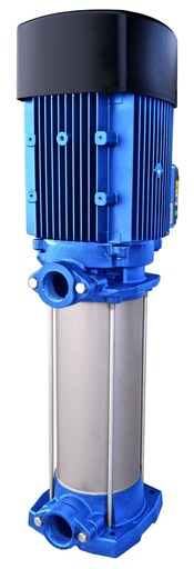 [MV22100230Rbj] MU 55 4 D